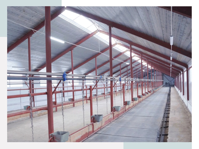 Строительство коровников в Назарове от 617 руб.