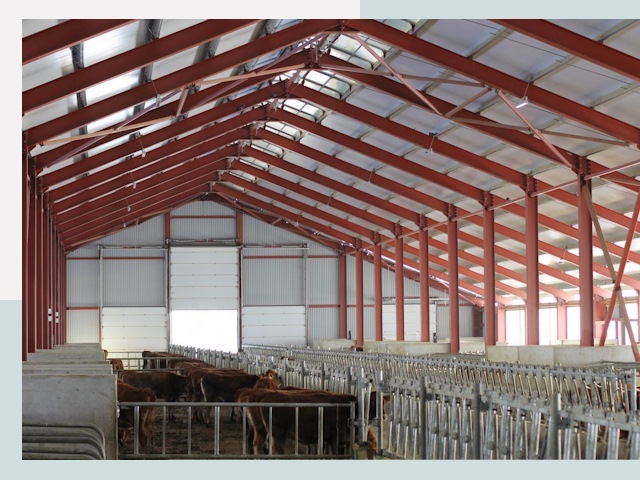 Строительство коровников в Назарове