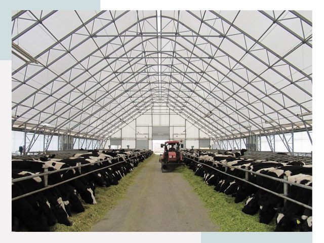 Тентовые коровники в Назарове от 617 руб. - Надежно и доступно