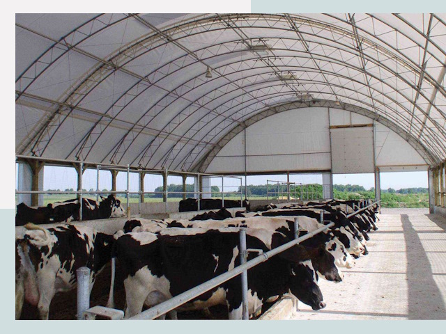 Тентовые коровники в Назарове